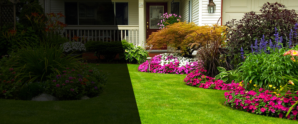 Dry Prong Landscapers