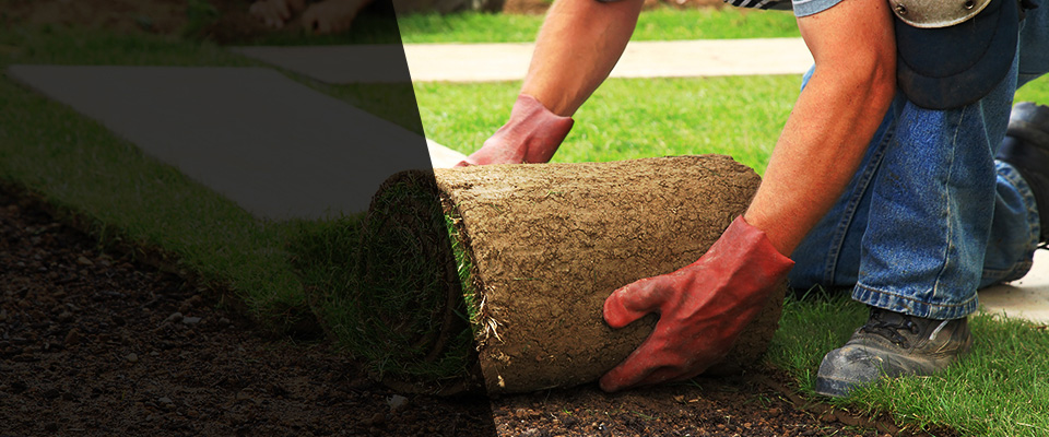 Dry Prong Landscapers